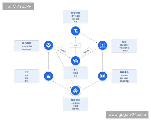 新罗娱乐：以用户为中心的内容策略，提升粉丝互动与品牌影响力的关键路径